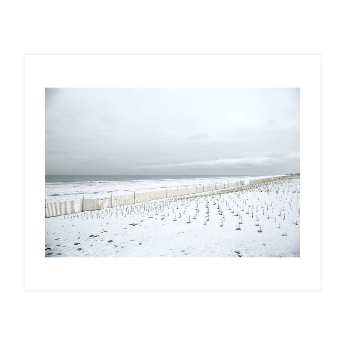 Winter grass in snow beach (Print Only)