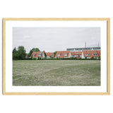 Red roof houses in the green field thumbnail
