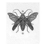 Riesen Longhorn Käfer (Print Only) thumbnail