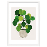 Pilea Plant thumbnail