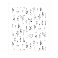 Wildflowers Minimalist Pattern (Print Only)