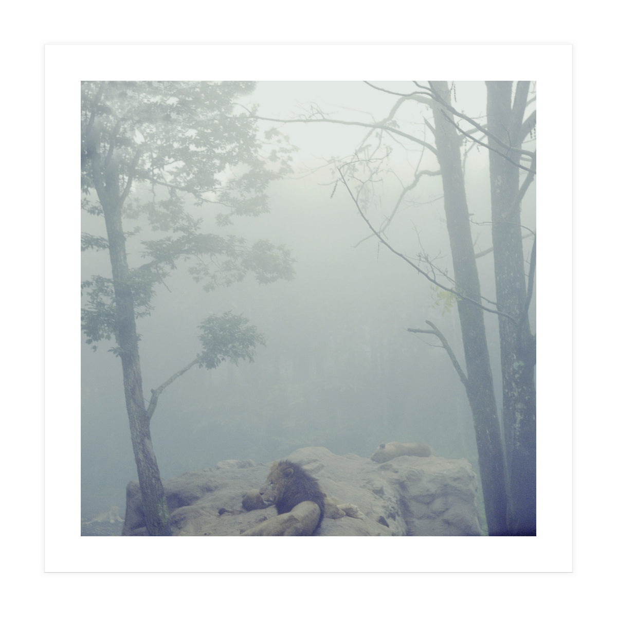 Silence of breath - 02 (Print Only)