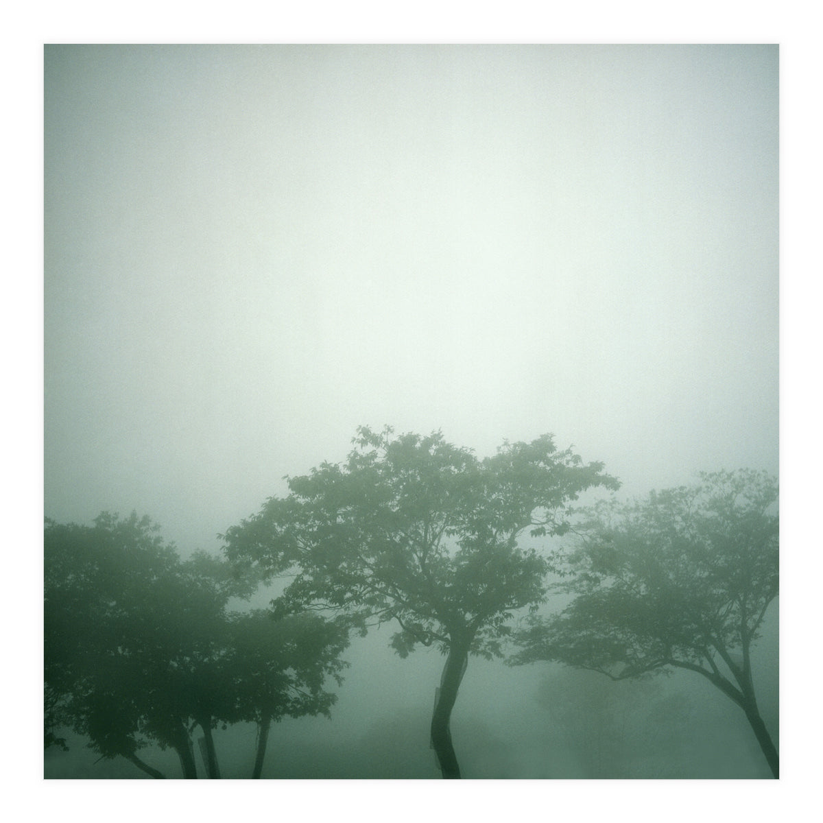 Silence of breath - 17 (Print Only)