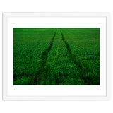Track and Field thumbnail