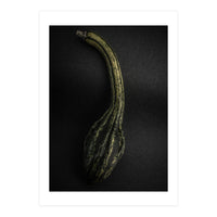 Gourds No 9 Color Version (Print Only)