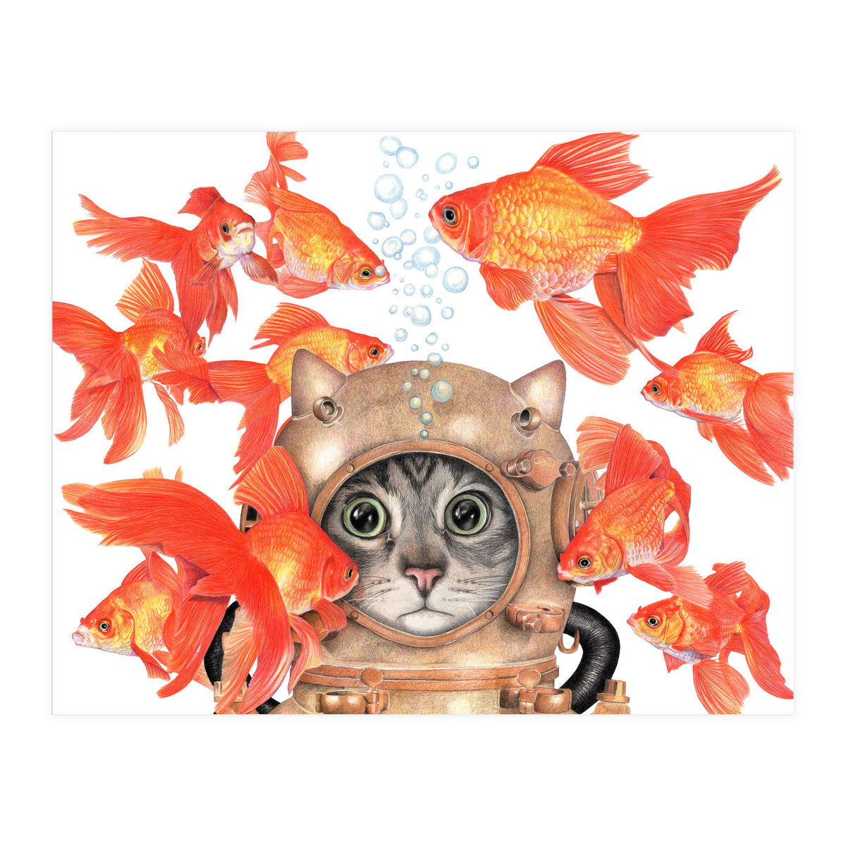 Scuba Catlgbright (Print Only)