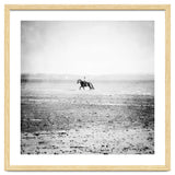 Sea Horse thumbnail