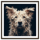 Old Dog 06 thumbnail