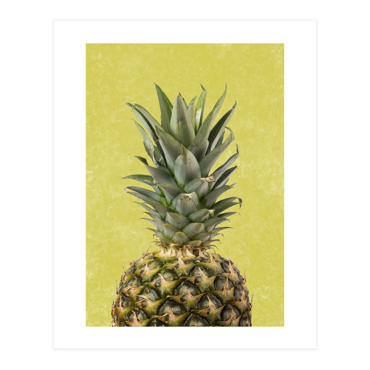Pineapple Crown, Tropical Summer Fruit Art (Print Only)