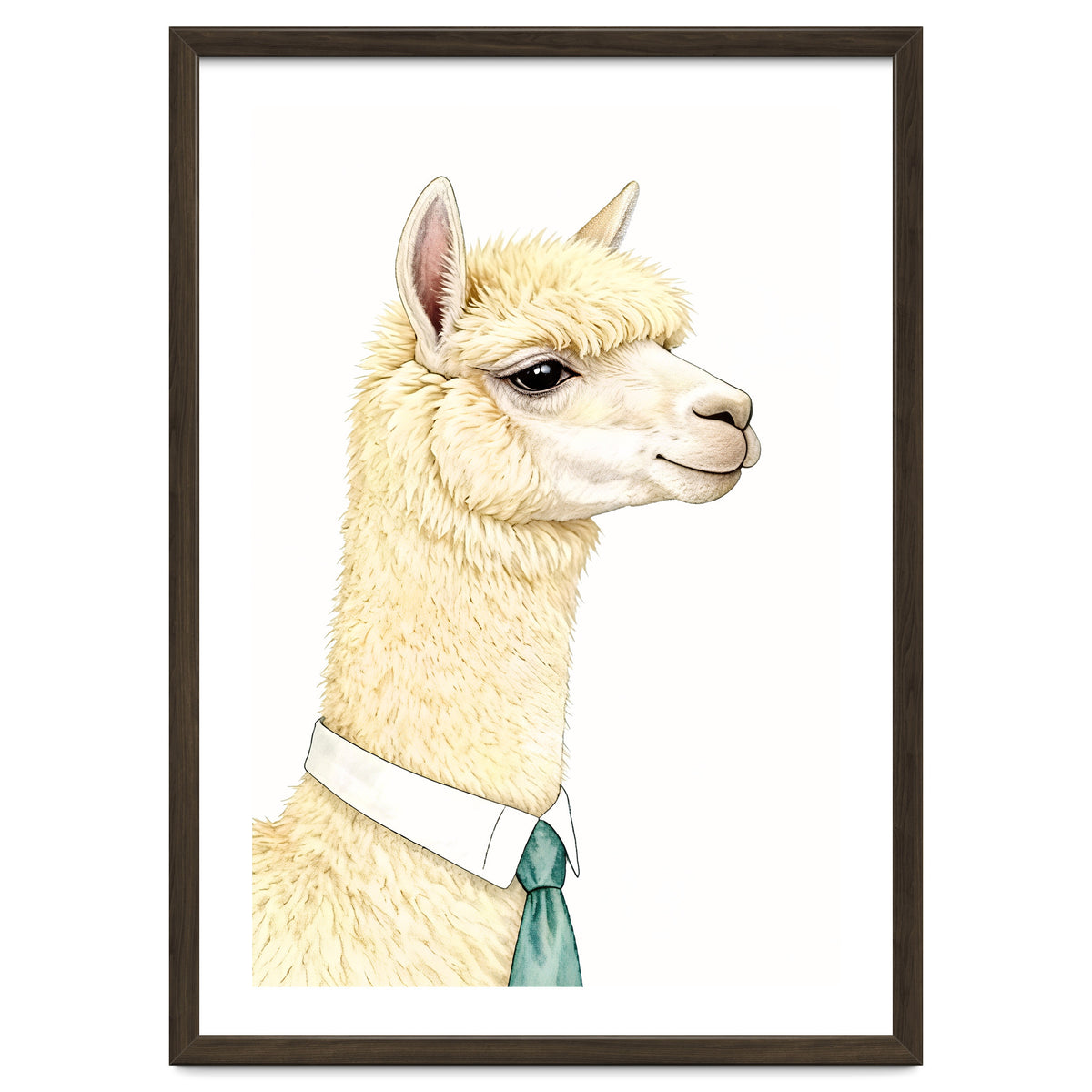 Alpaca