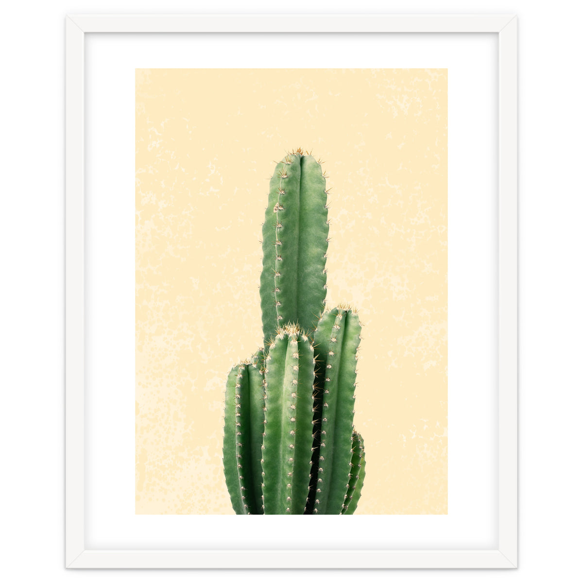Tall Cactus, Minimal Desert Saguaro Art