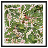 Tropical Bird Garden thumbnail