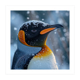 King Penguin Close Up In Snowy Environment (Print Only) thumbnail