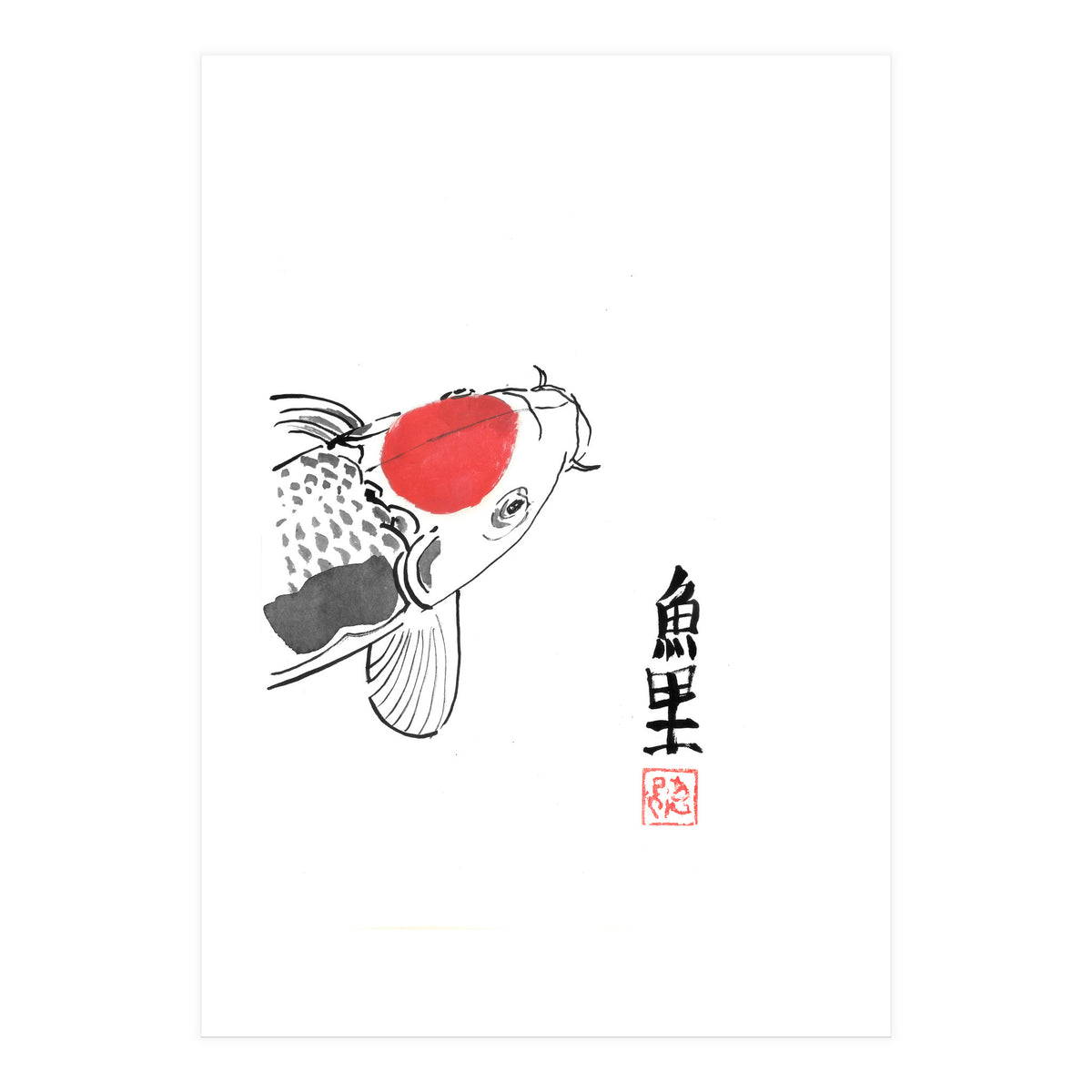 Karp Koi Close Up (Print Only)