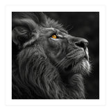 Majestic Lion Face Closeup Golden Eyes Black (Print Only) thumbnail