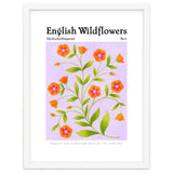 English Wildflowers | Scarlet Pimpernel thumbnail