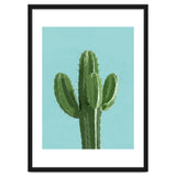 Blue Cactus 1 thumbnail