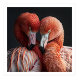 Close Up Of Two Flamingos Nuzzling Together (Print Only) thumbnail
