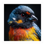 Close Up Of A Colorful Bird In The Wild (Print Only) thumbnail