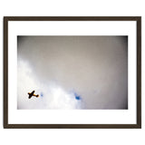 The Little Prince thumbnail