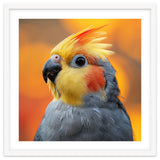 Cockatiel Parrot Close Up thumbnail