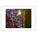 Autumn’s Embrace thumbnail