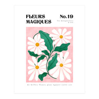 Magical Flowers No.19 Summer Daisies (Print Only)