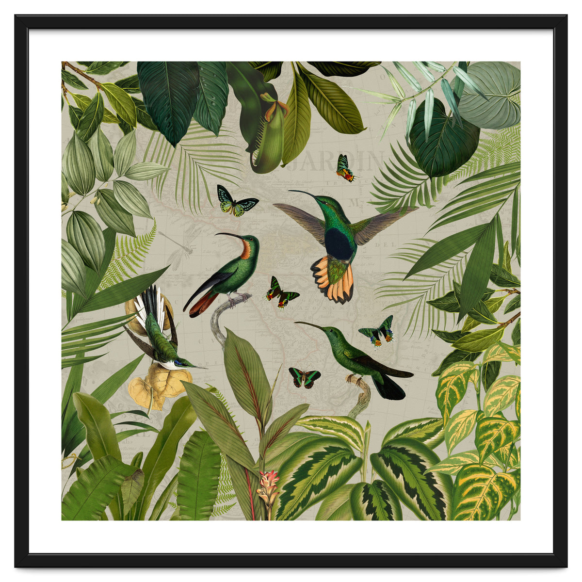 Vintage Exotic Hummingbirds Jungle