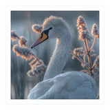 Swan Portrait Dew Drops Morning Light (Print Only) thumbnail