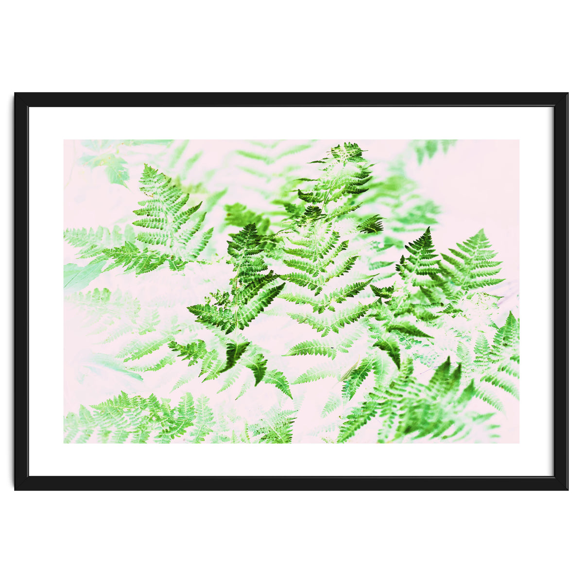 Fern Forest #society6 #decor #buyart