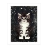 Bicolor Cute Kitten Portrait (Print Only) thumbnail