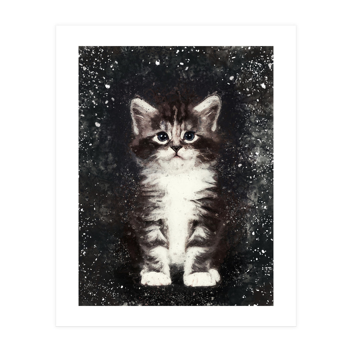 Bicolor Cute Kitten Portrait (Print Only)