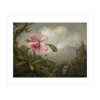 Martin Johnson Heade (Lumberville, 1819-St. Augustine, 1904). Orchid and Hummingbird near a Water... (Print Only)