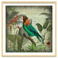 Tropical Bird Nostalgia