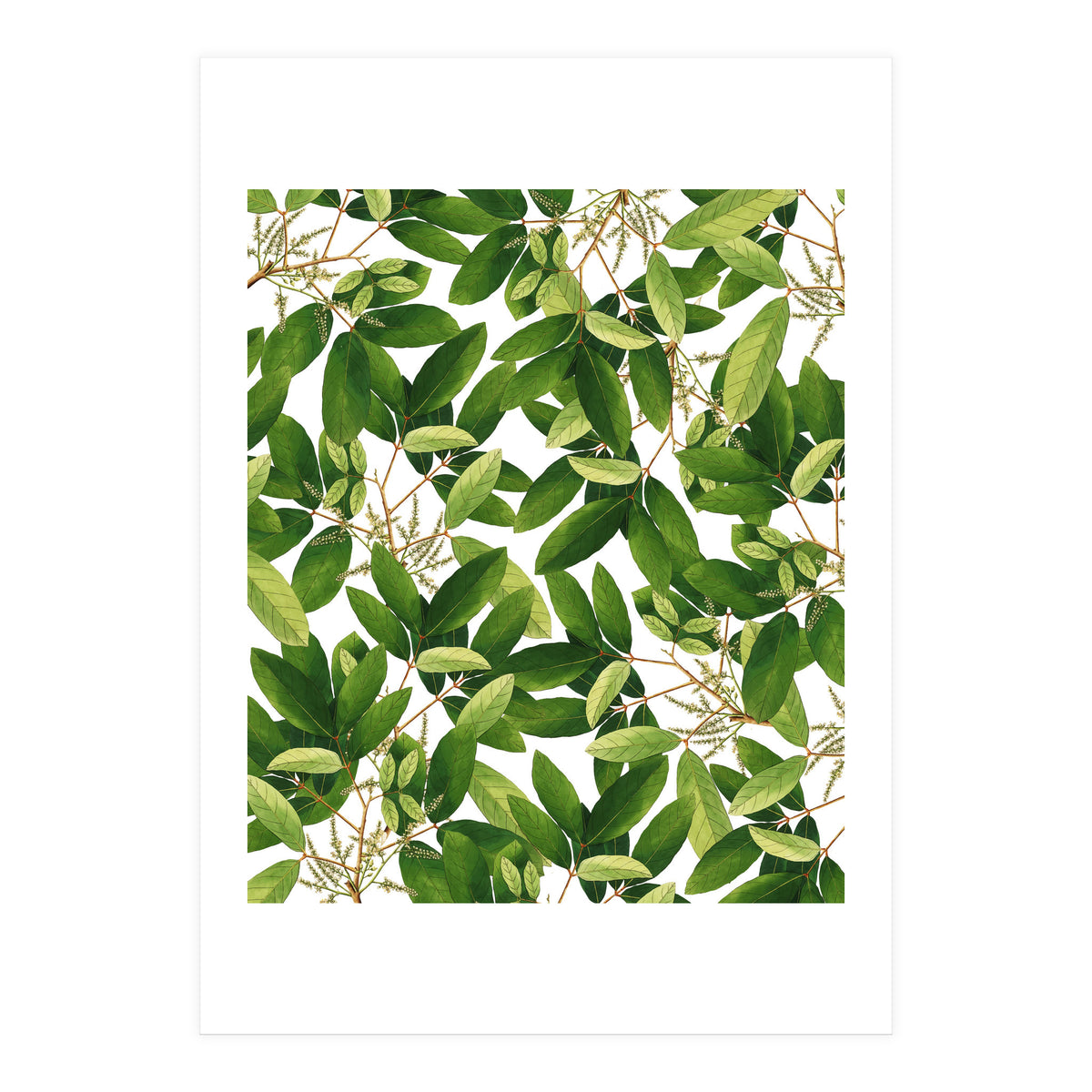 Greenery #society6 #decor #buyart (Print Only)