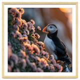 Puffin Bird On Rocks Near Pink Flowers At Sunset thumbnail