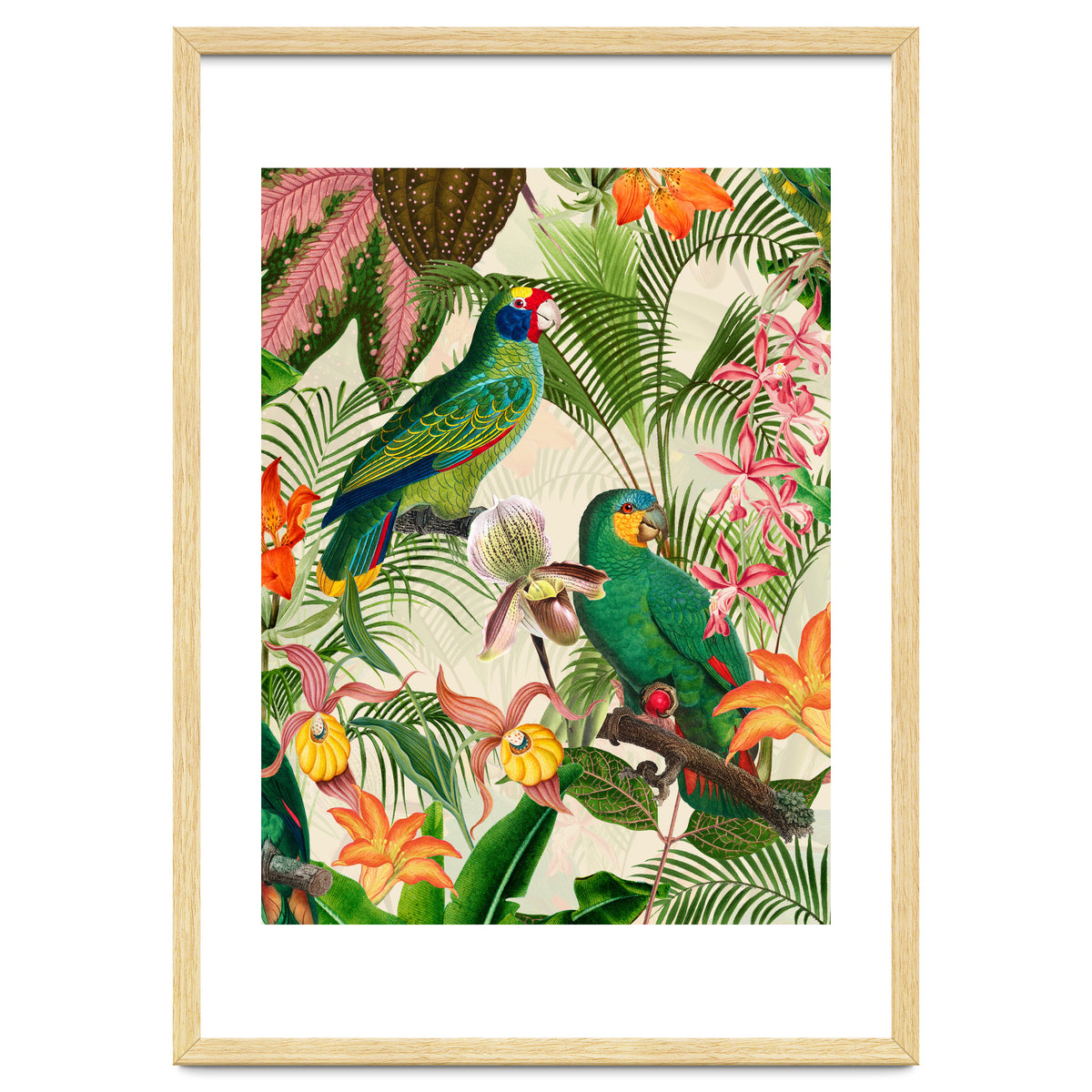 Parrots in tropical Jungle