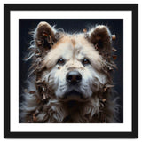 Old Dog 08 thumbnail