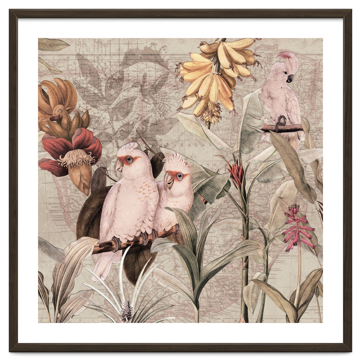 Cockatoo Exotic Bird Jungle