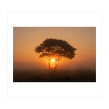 Tree at sunrise (Print Only) thumbnail