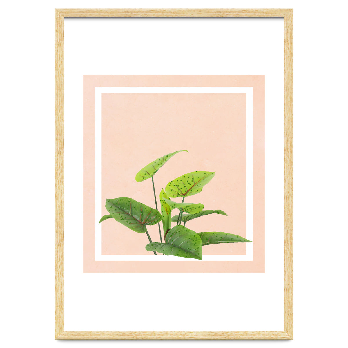 Botanical Art