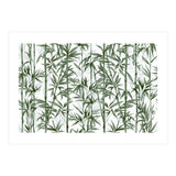 Bamboo Moody Green White (Print Only) thumbnail