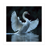 Majestic White Swan Spreading Wings On Water (Print Only) thumbnail