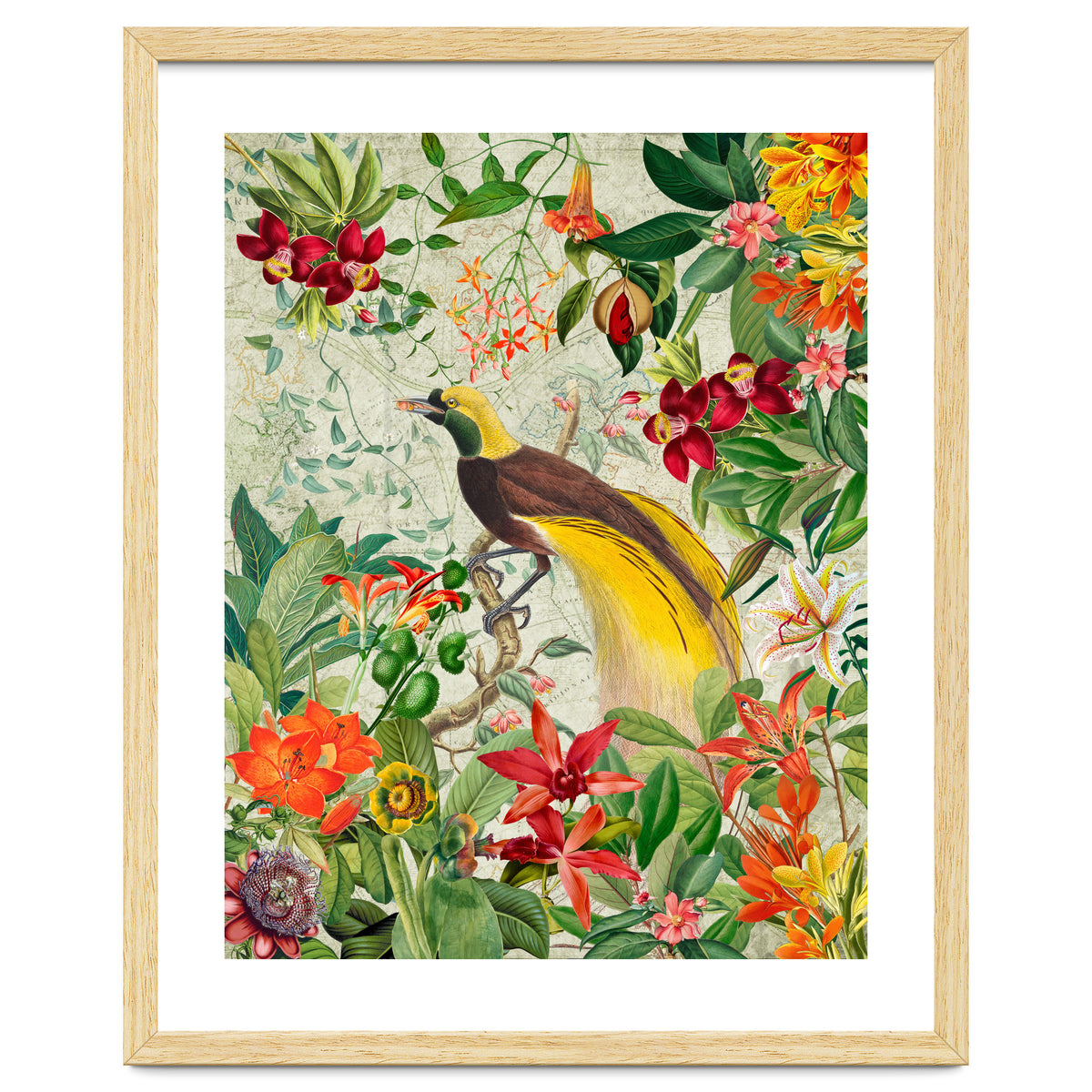Bird of paradise vintage jungle