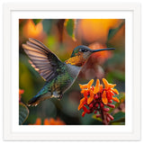 Hummingbird Hovering Near Orange Flowers thumbnail
