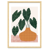 Philodendron plant thumbnail