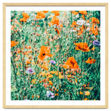 Eva | Nature Floral Meadow Garden | Photography Botanical Spring Bohemian Flowers thumbnail