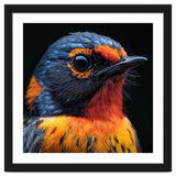 Vibrant Bird With Orange And Blue Plumage thumbnail