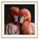 Close Up Of Two Flamingos Nuzzling Together thumbnail