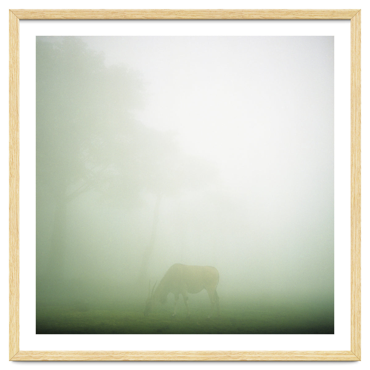 Silence of breath - 09